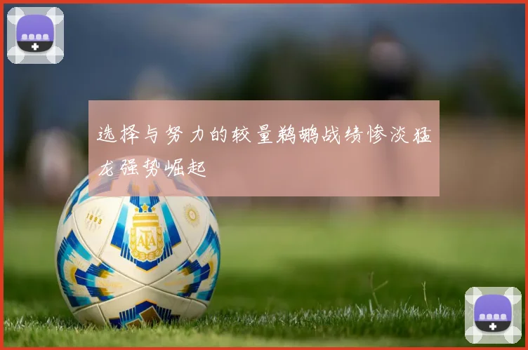 选择与努力的较量鹈鹕战绩惨淡猛龙强势崛起