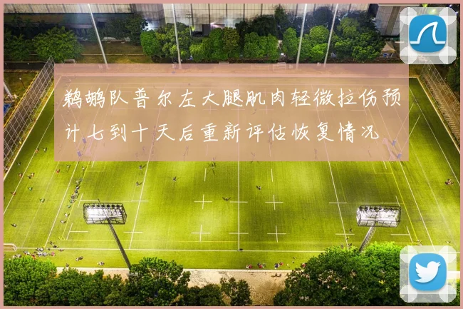 鹈鹕队普尔左大腿肌肉轻微拉伤预计七到十天后重新评估恢复情况