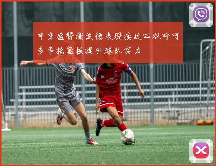 申京盛赞谢泼德表现接近四双呼吁多争抢篮板提升球队实力